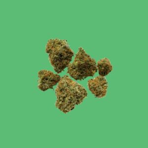 Mango Dream
