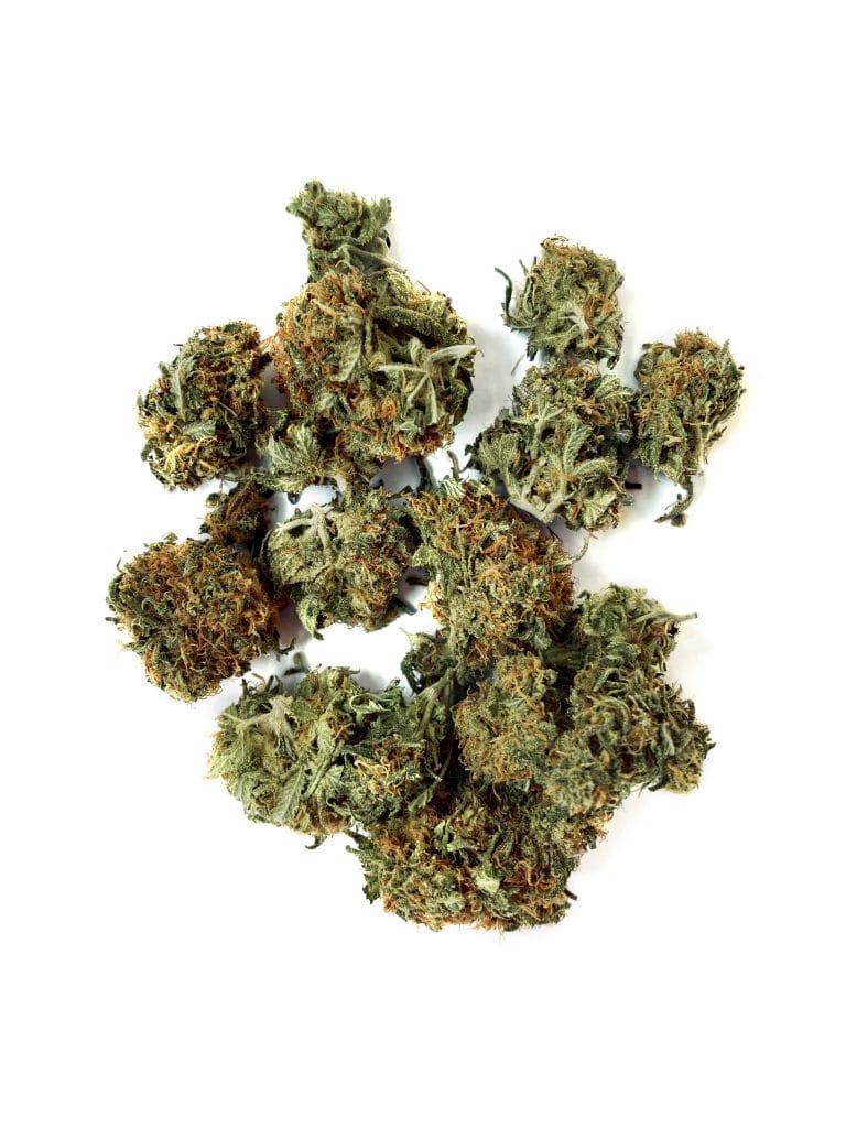 Gelato