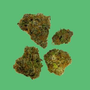 Rainbow Bud