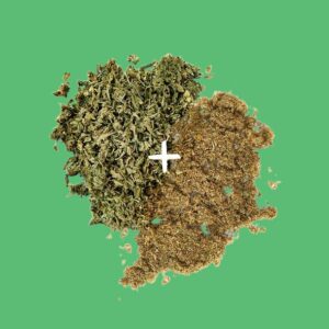 SKYWALKER SHAKE + KIEF Bundle