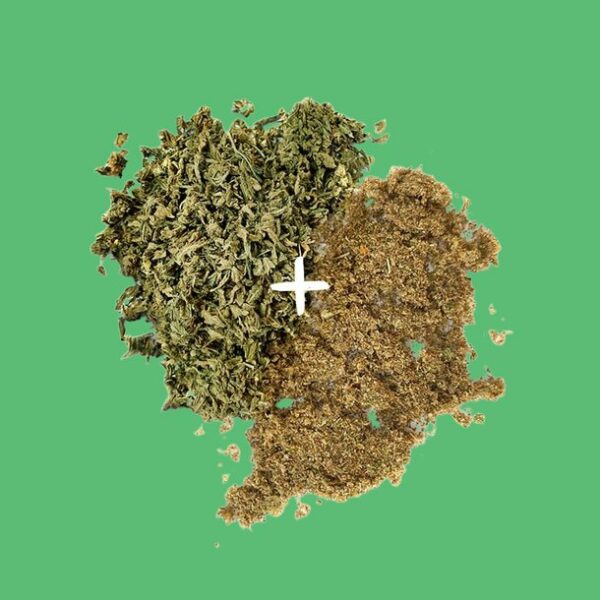 WEDDING CAKE SHAKE+ KIEF Bundle