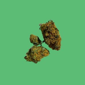 Maple Leaf Indica