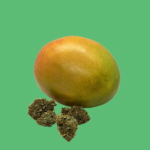 Mango Sapphire