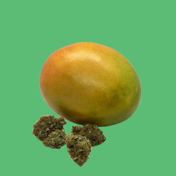 Mango Sapphire