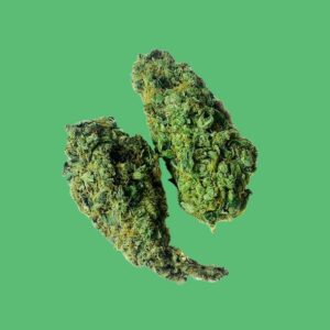 Skunk # 1