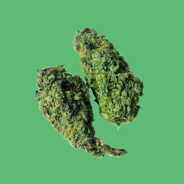 Skunk # 1