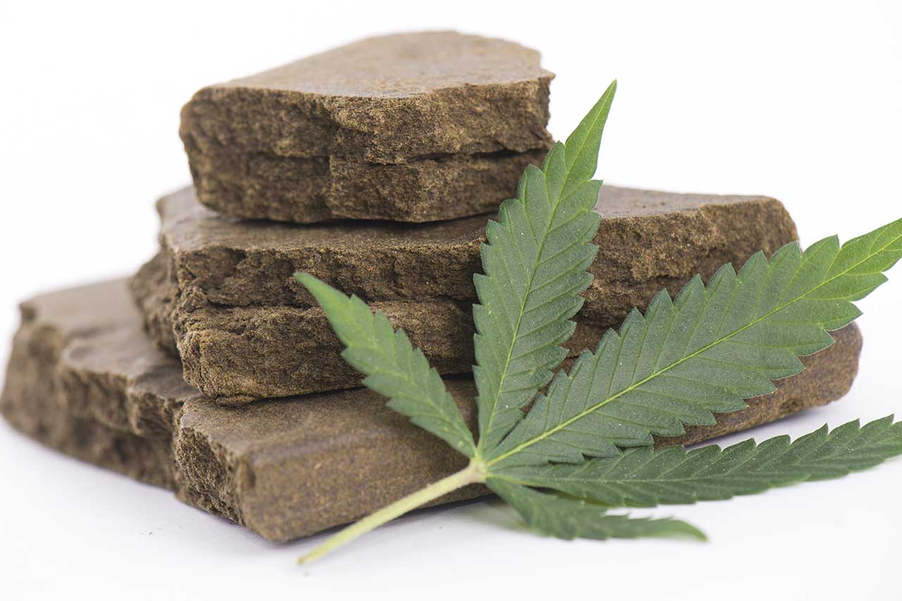 What Is Hash: Guide to the Difference Between Hash and Weed