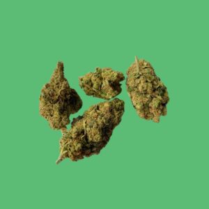 Shiva Skunk