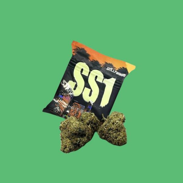 SS-1