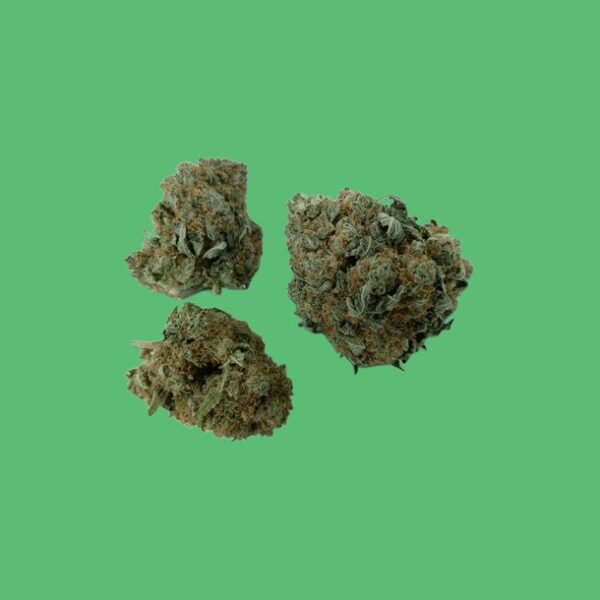 Gelato