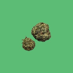 Gelato