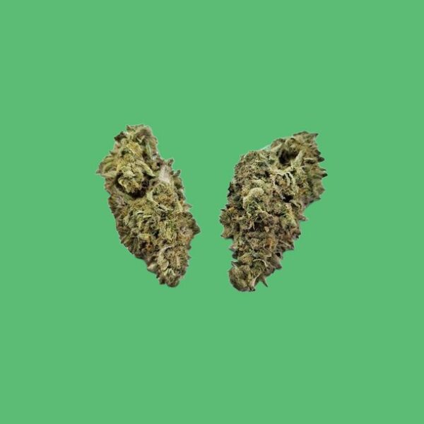 Jungle Cake