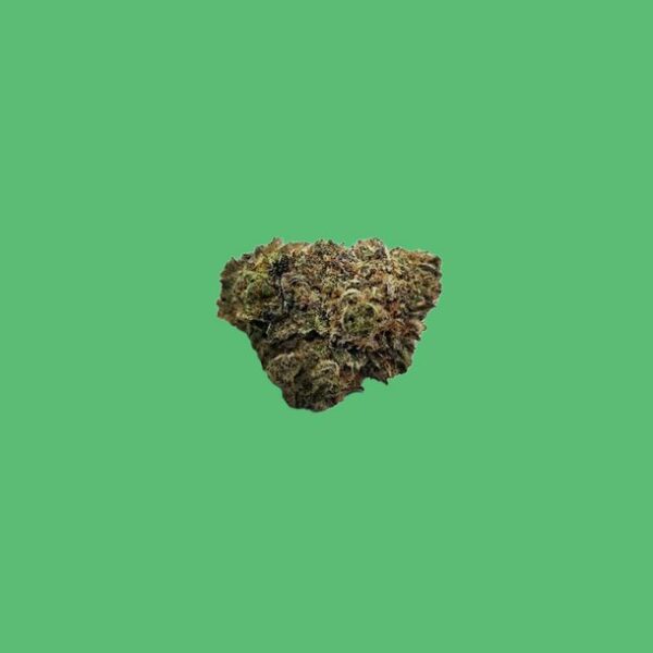 Snoop's Dream