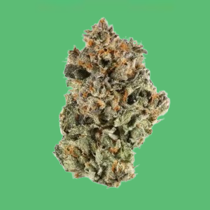 Sunshine Sherbet