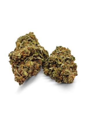 Bruce Banner