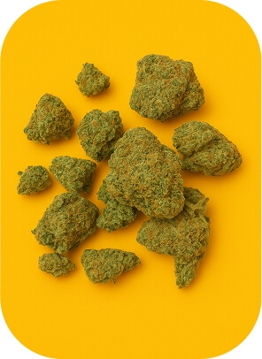 Premium Flowers